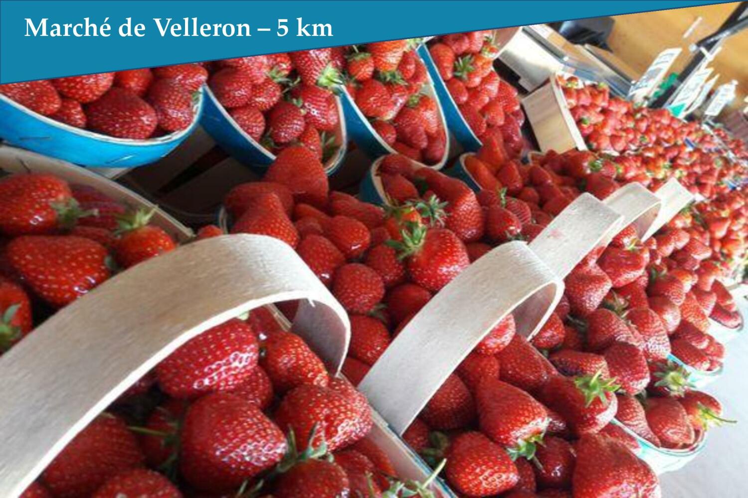 004 - Marché de Velleron - Les Bastidons de l'Isle.jpg