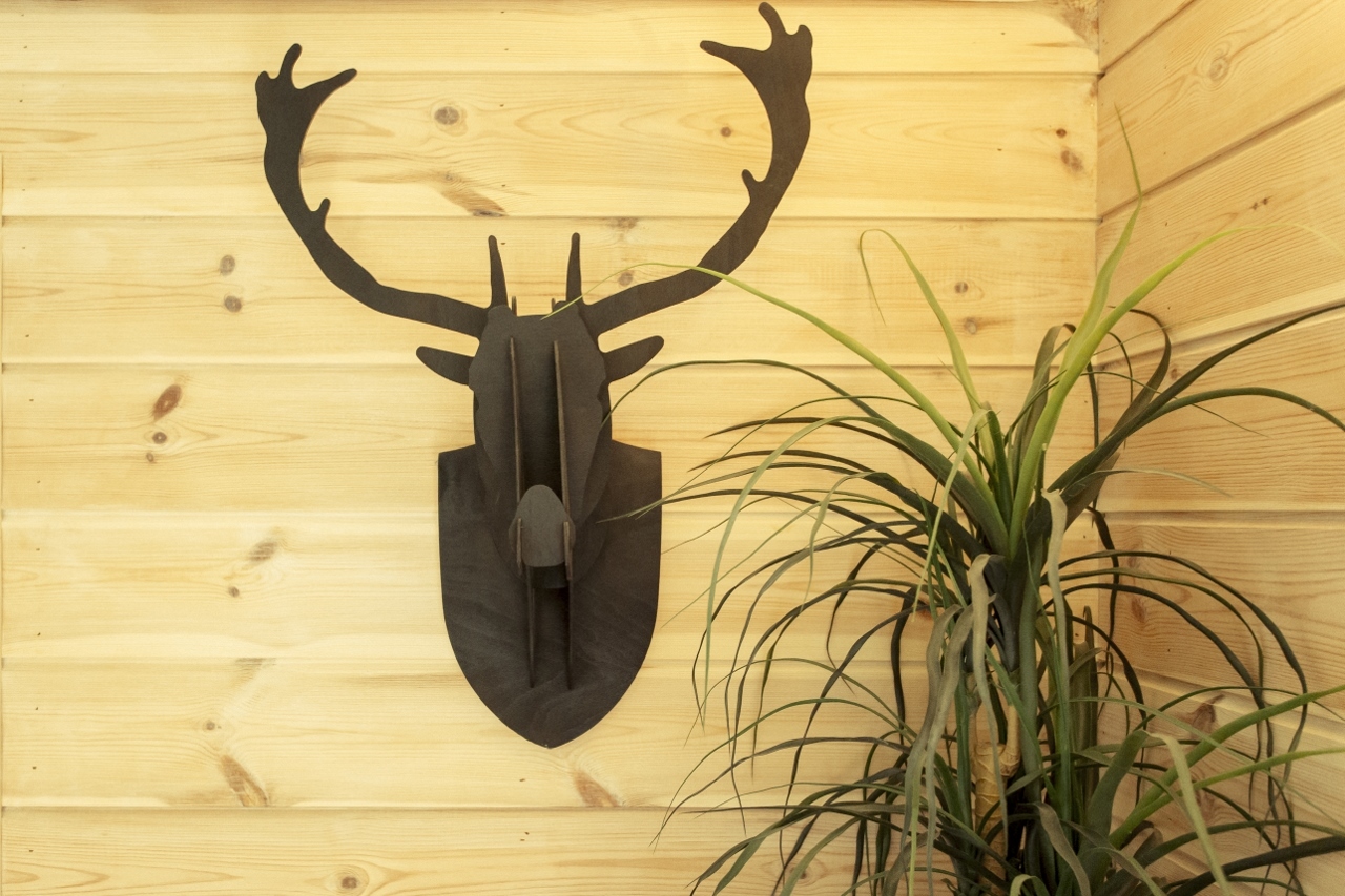 0U4A0115 (1280x853).jpg