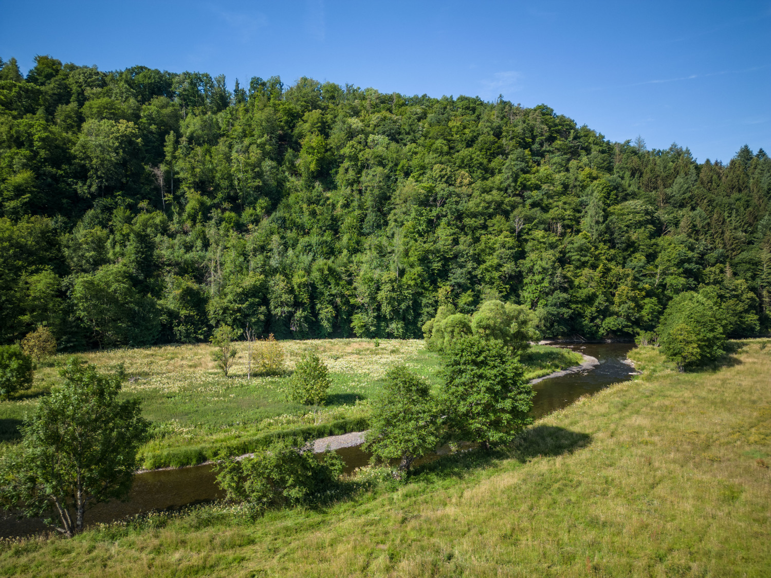 Bills Lodge Web-0028.jpg