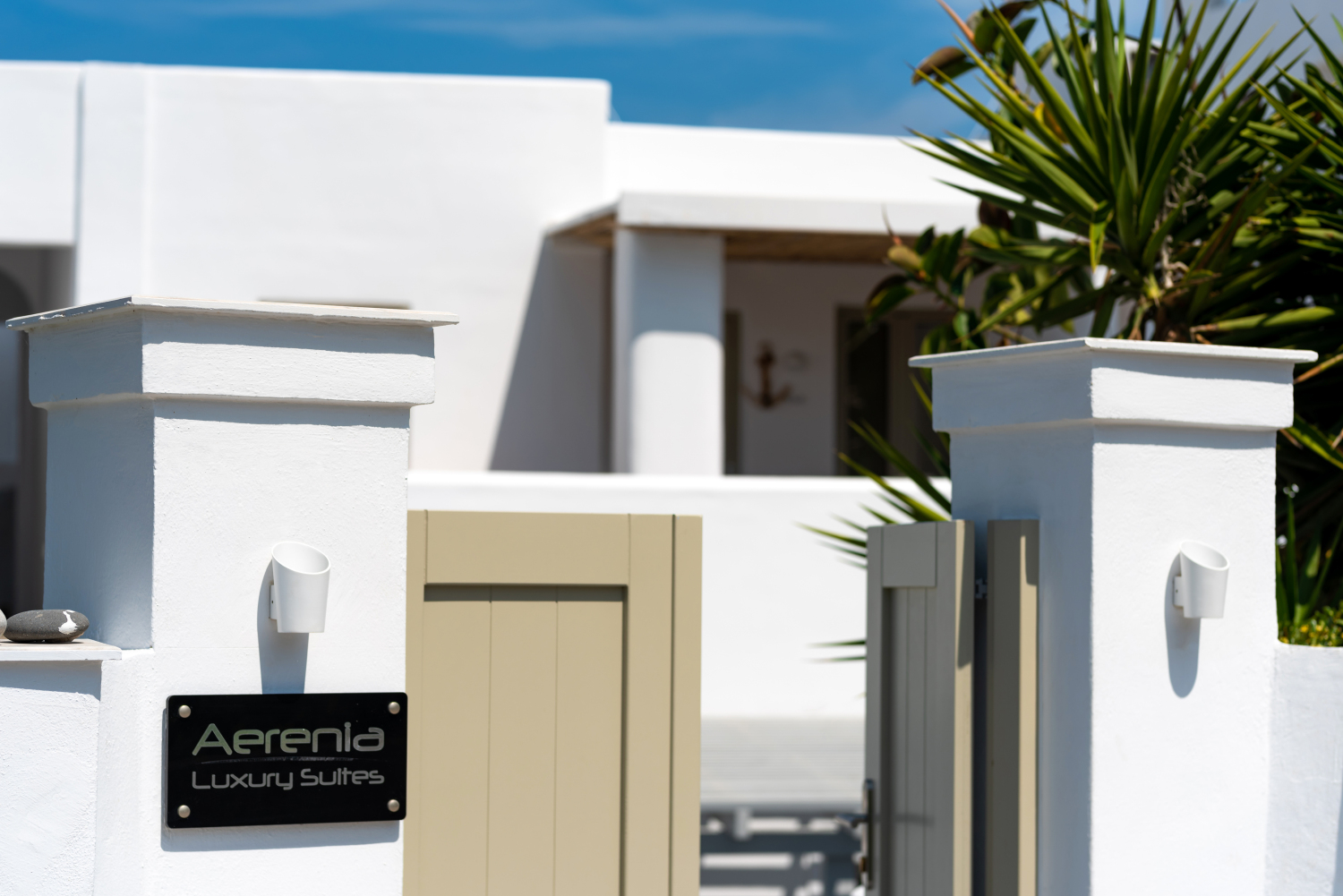 Thanos Rivios Photography (96).jpg