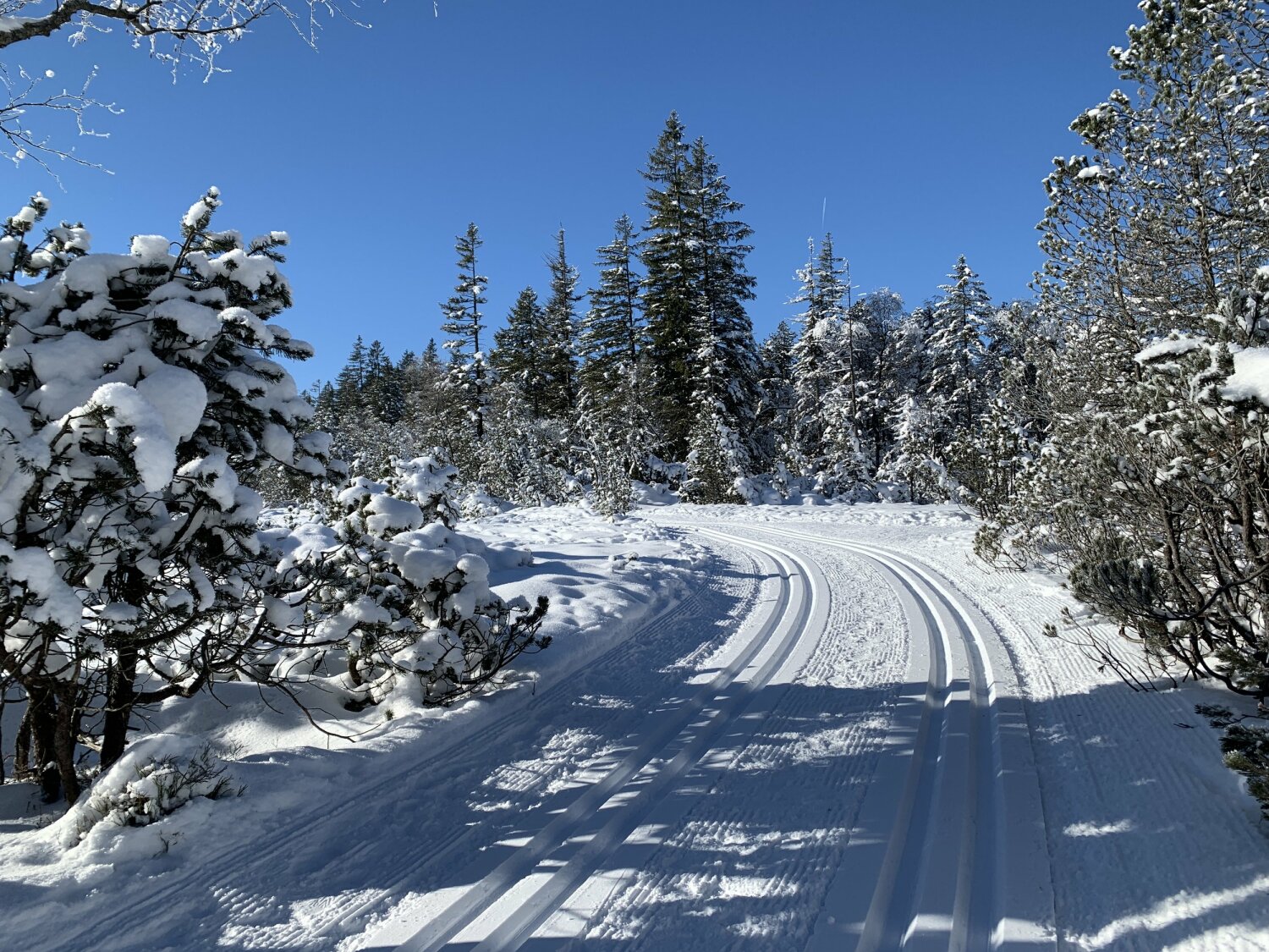 IMG_5932 Bödele (c) Nadine Kohler - Dornbirn Tourismus _ Stadtmarketing GmbH.jpg