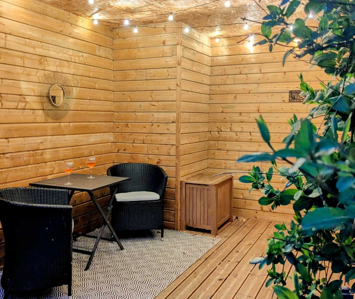 PXL_20250322_183903827 (1).NIGHT~4.jpg