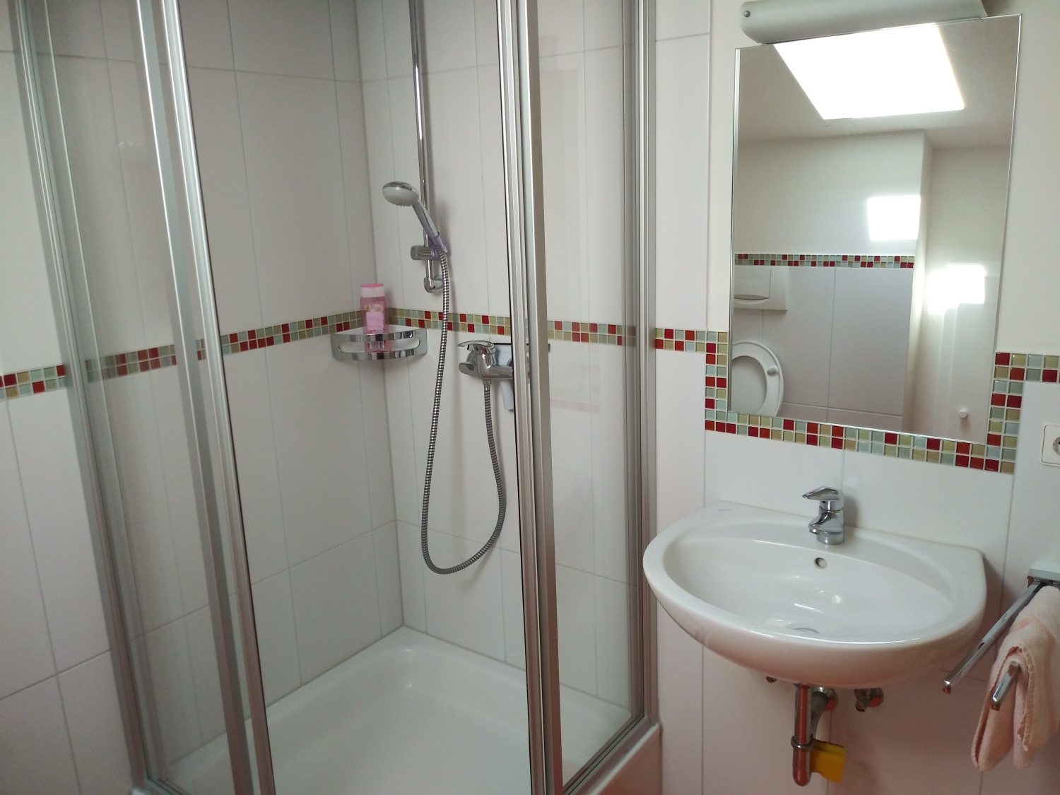 9_Bad_Dusche und Handwaschbecken.jpg