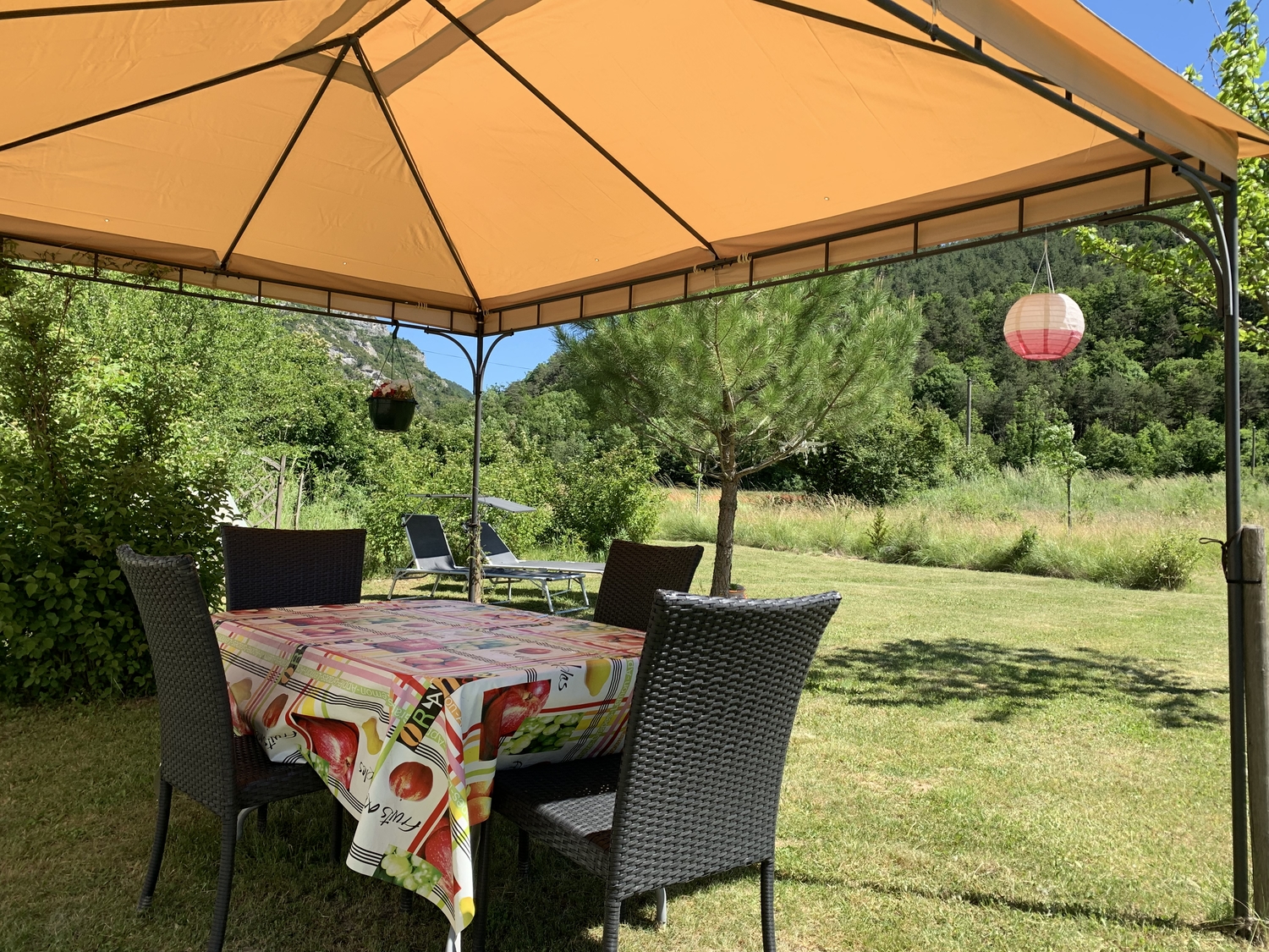 2019-06-08 15.36.30.jpg