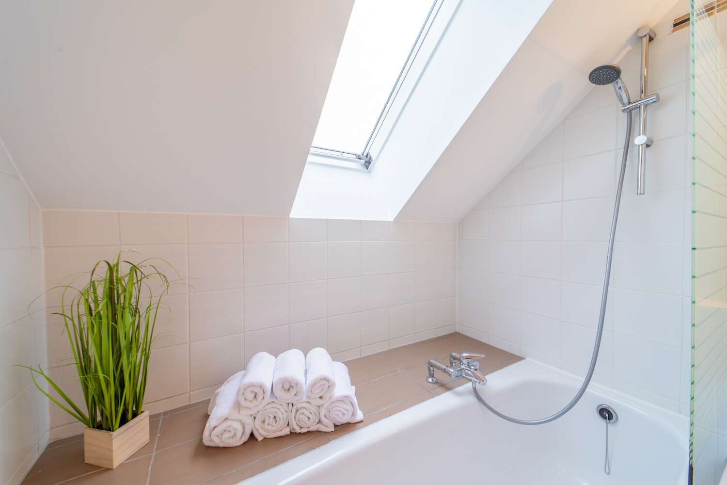 wayne_1313--21 (1).jpg