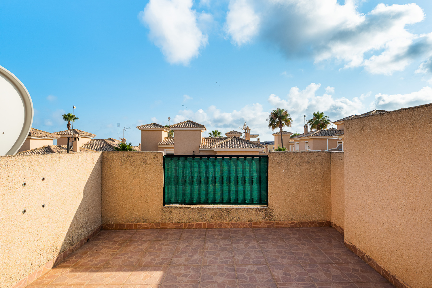 Royal Park Rose 89A (32).jpg