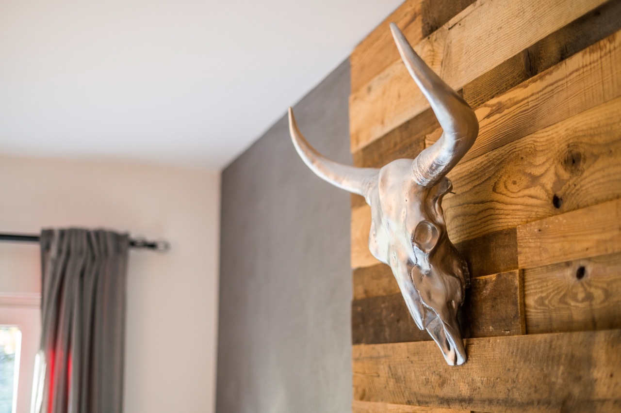 Bullenschädel seitlich Groß.jpeg