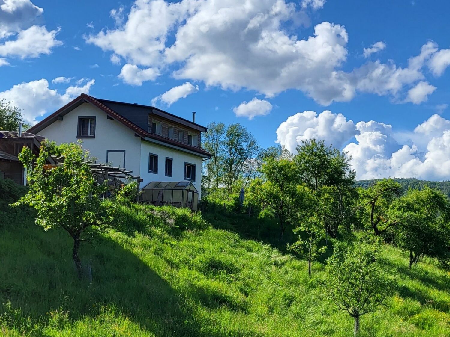 Vorlage für _Insta-Style (2).jpg