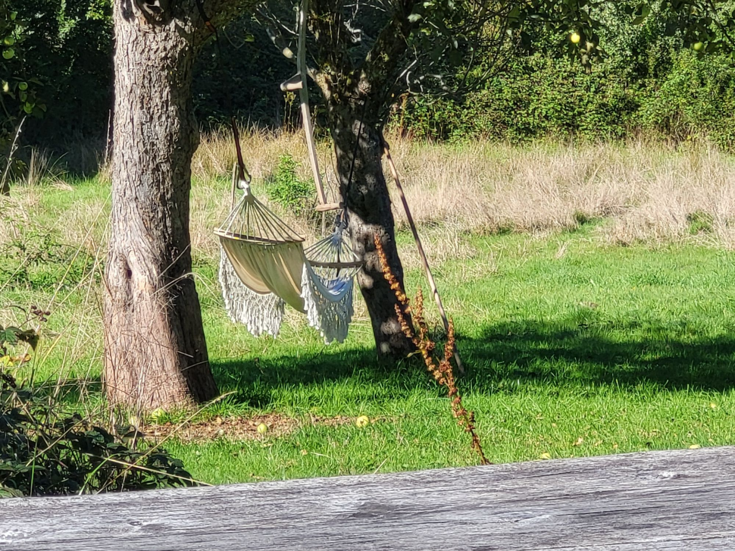 Textkachel universell (5).png