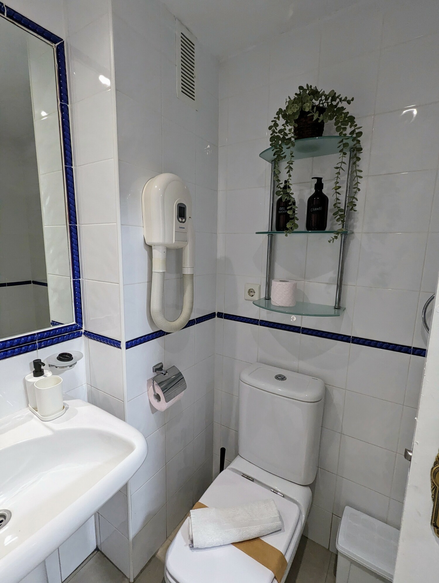 415 baño .jpg