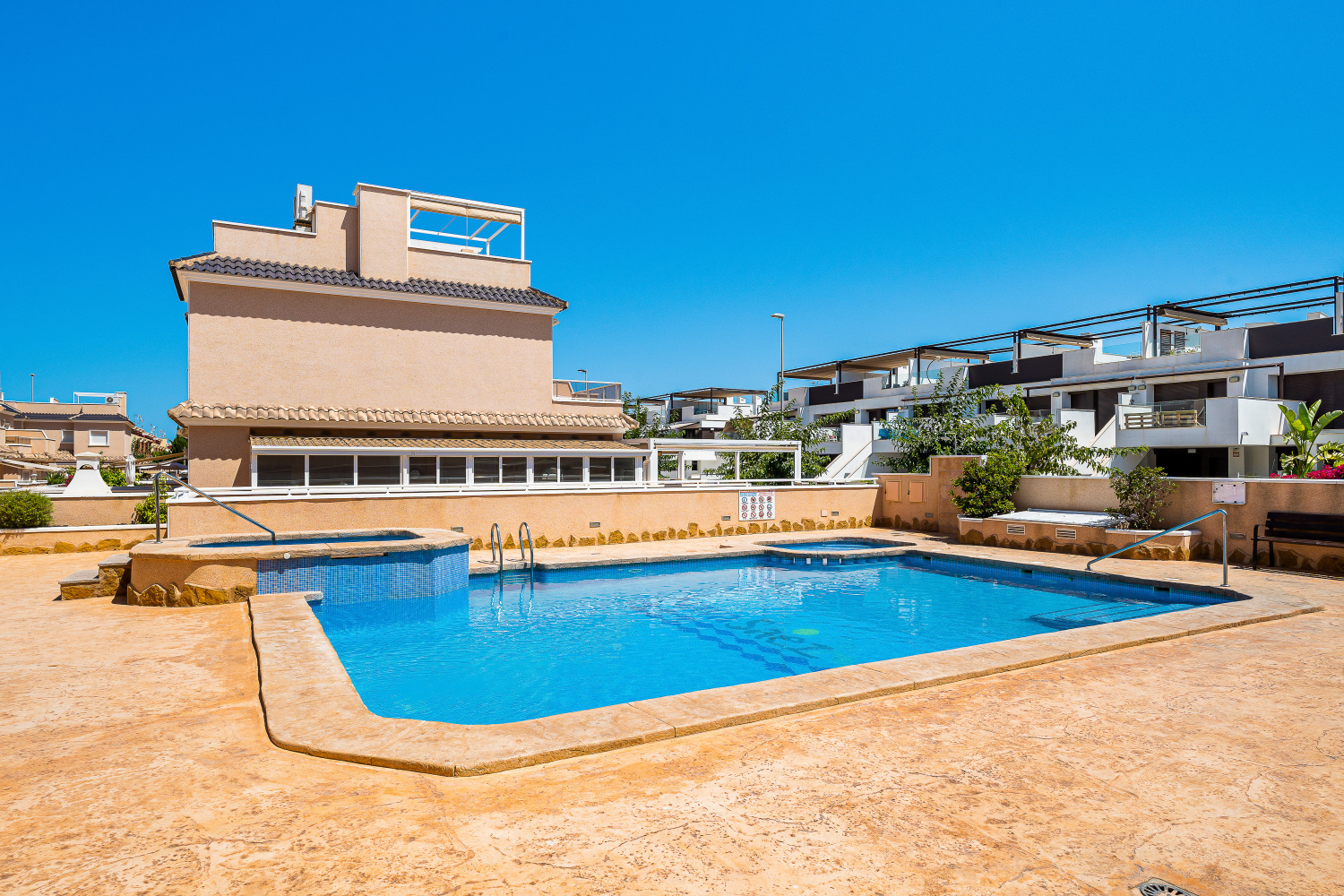 Gladiolo 52 - Pilar de Horadada (35).jpg