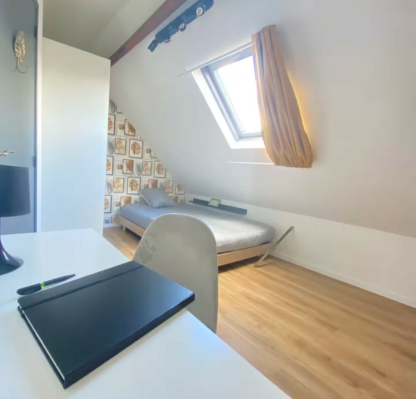 45ec14e1-569d-402f-9f04-b9f057704b48 (1).jpg