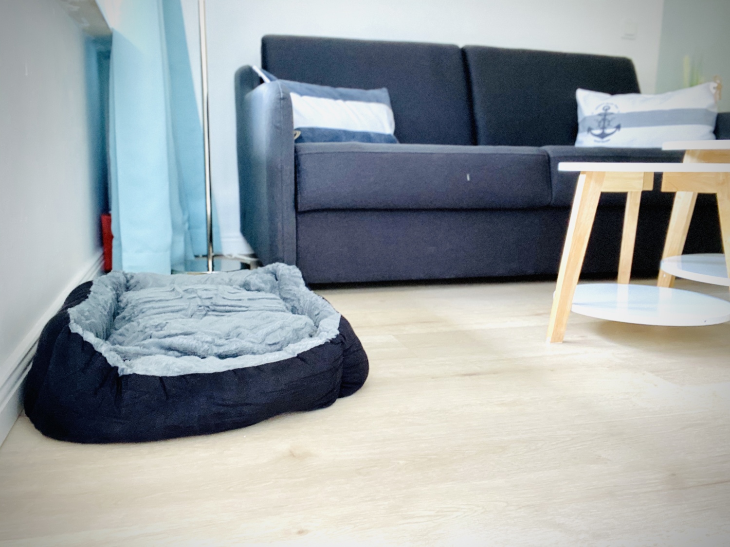 Foto 17.05.20, 16 25 49.jpg