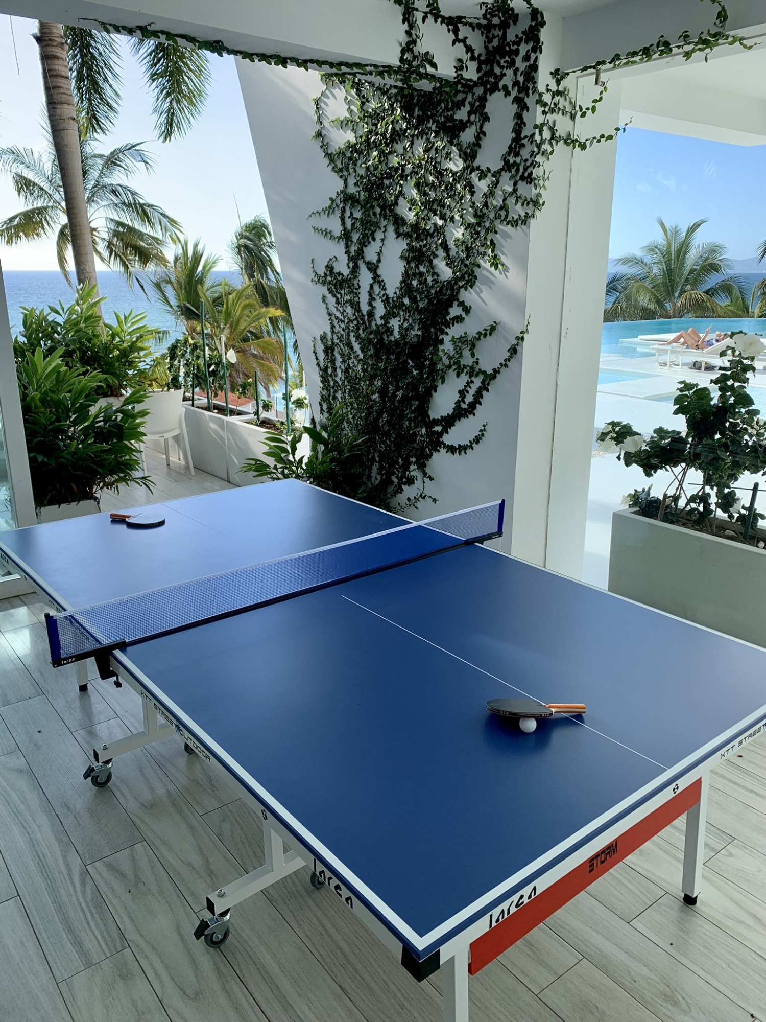 Ping Pong Table.jpeg