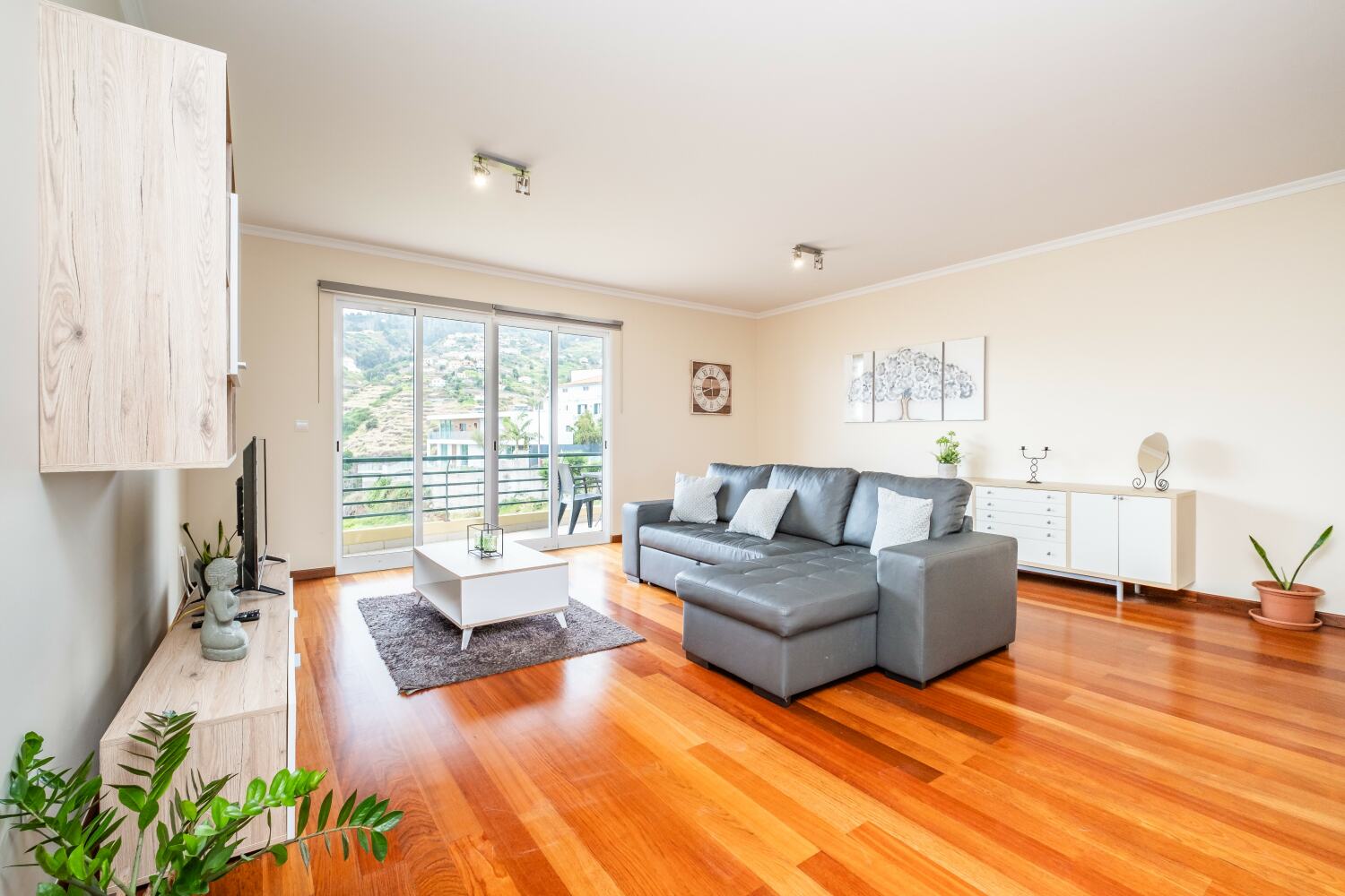 Photo-12 - Cópia.jpg