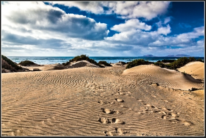 WhatsApp Image 2021-03-12 at 16.15.56.jpeg