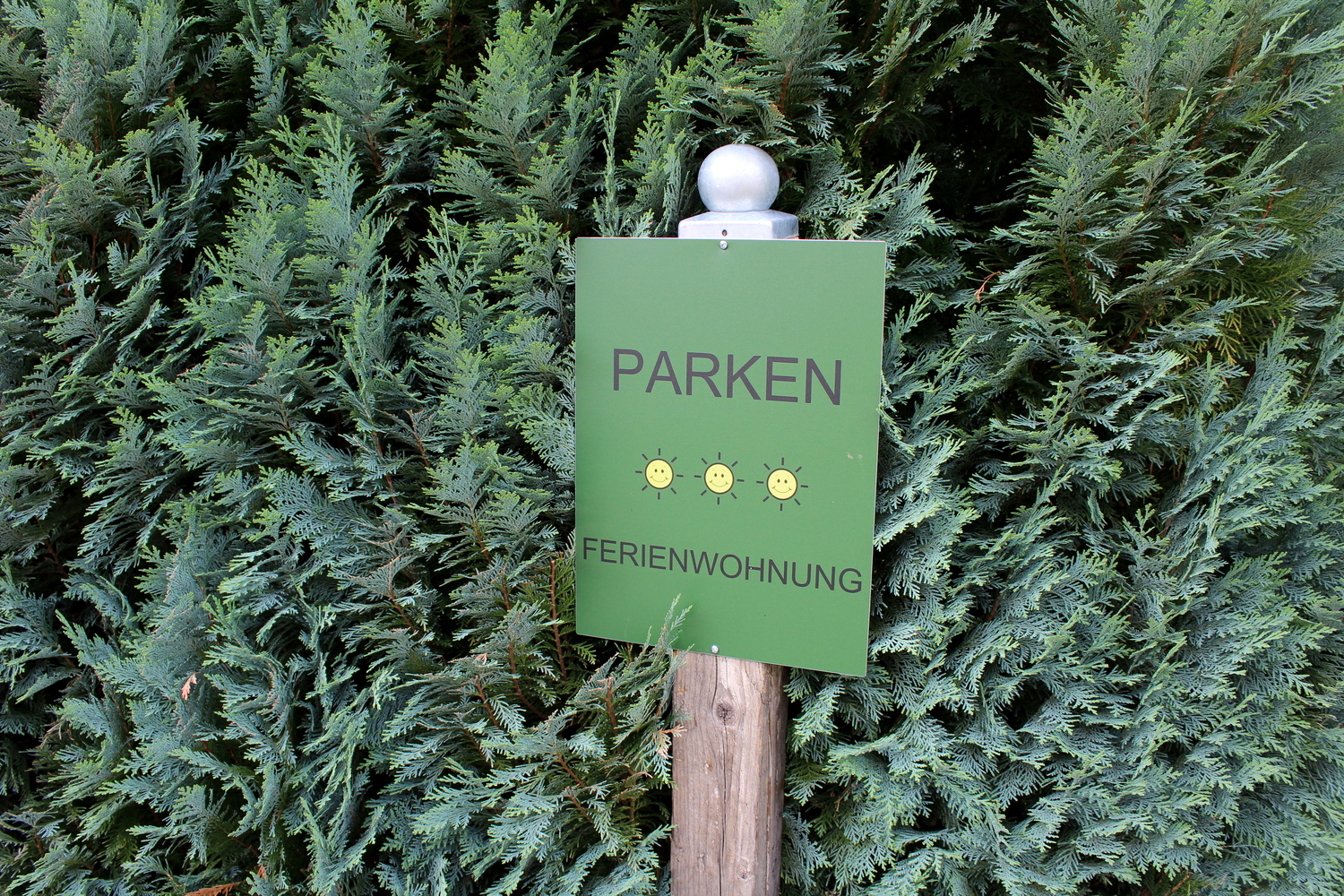 FeWo (50) Detail Parkplatz.JPG