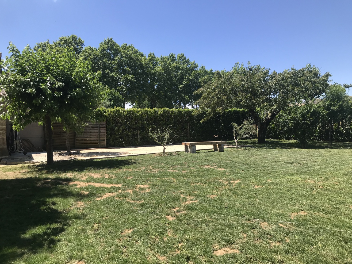 Photo 05-07-2021 14 36 58.jpg