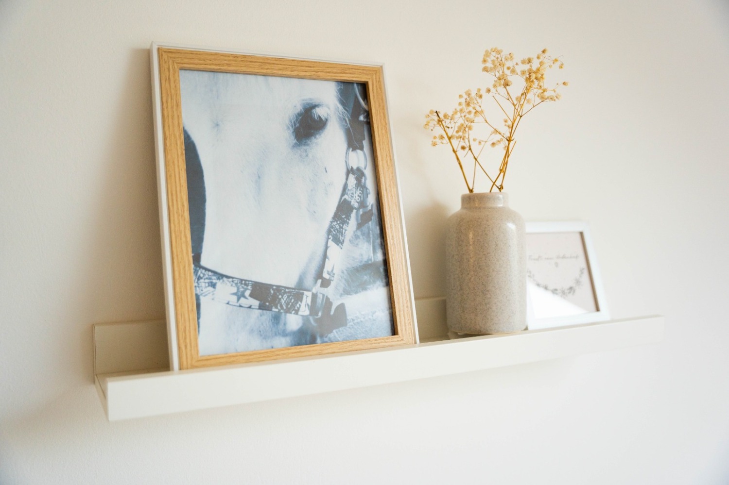 WhatsApp Bild 2023-09-29 um 12.17.00_ce077dc7.jpg