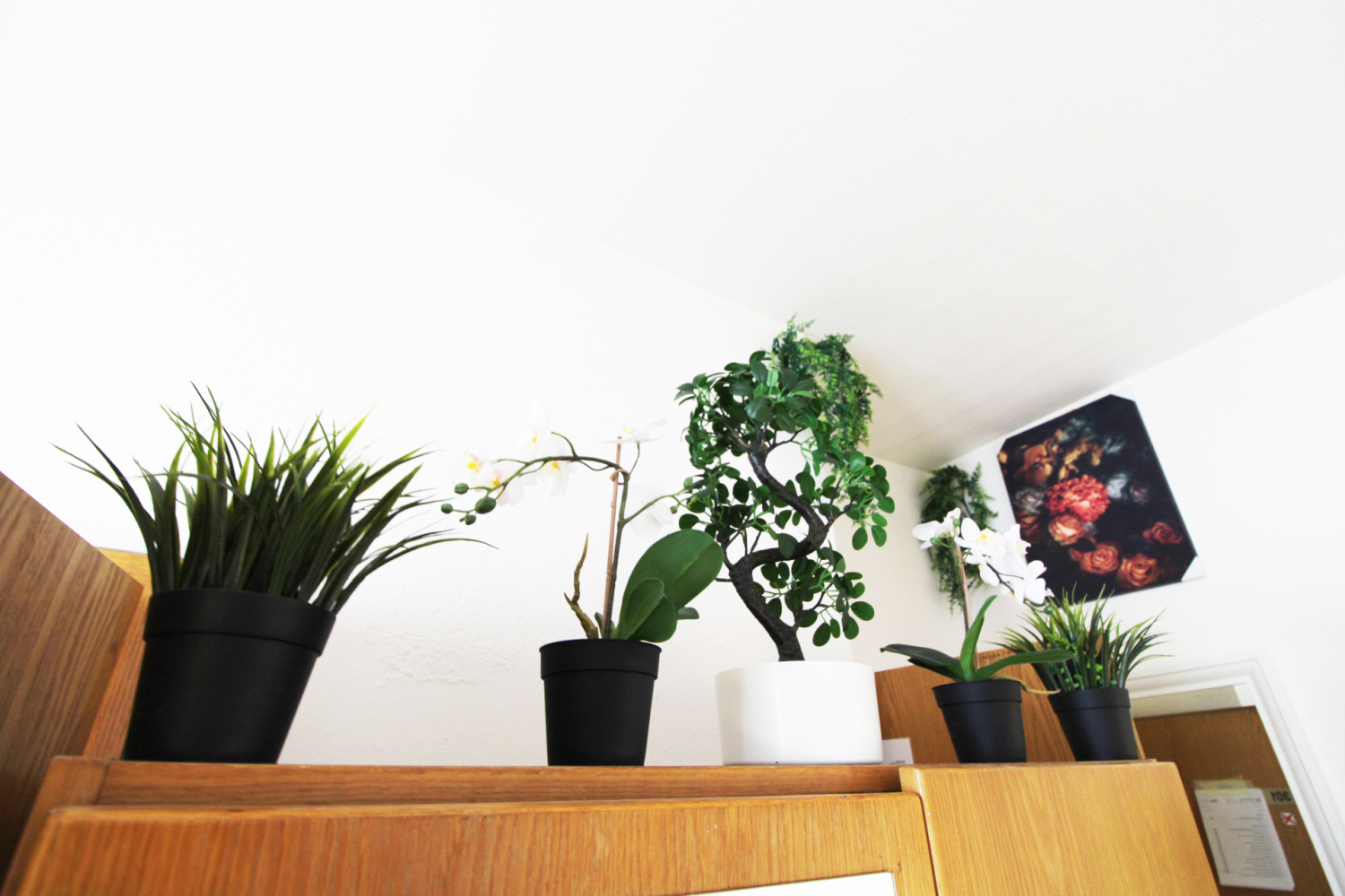 2022-12-09 - 301 - BR1 - kunstpflanzen_b.JPG