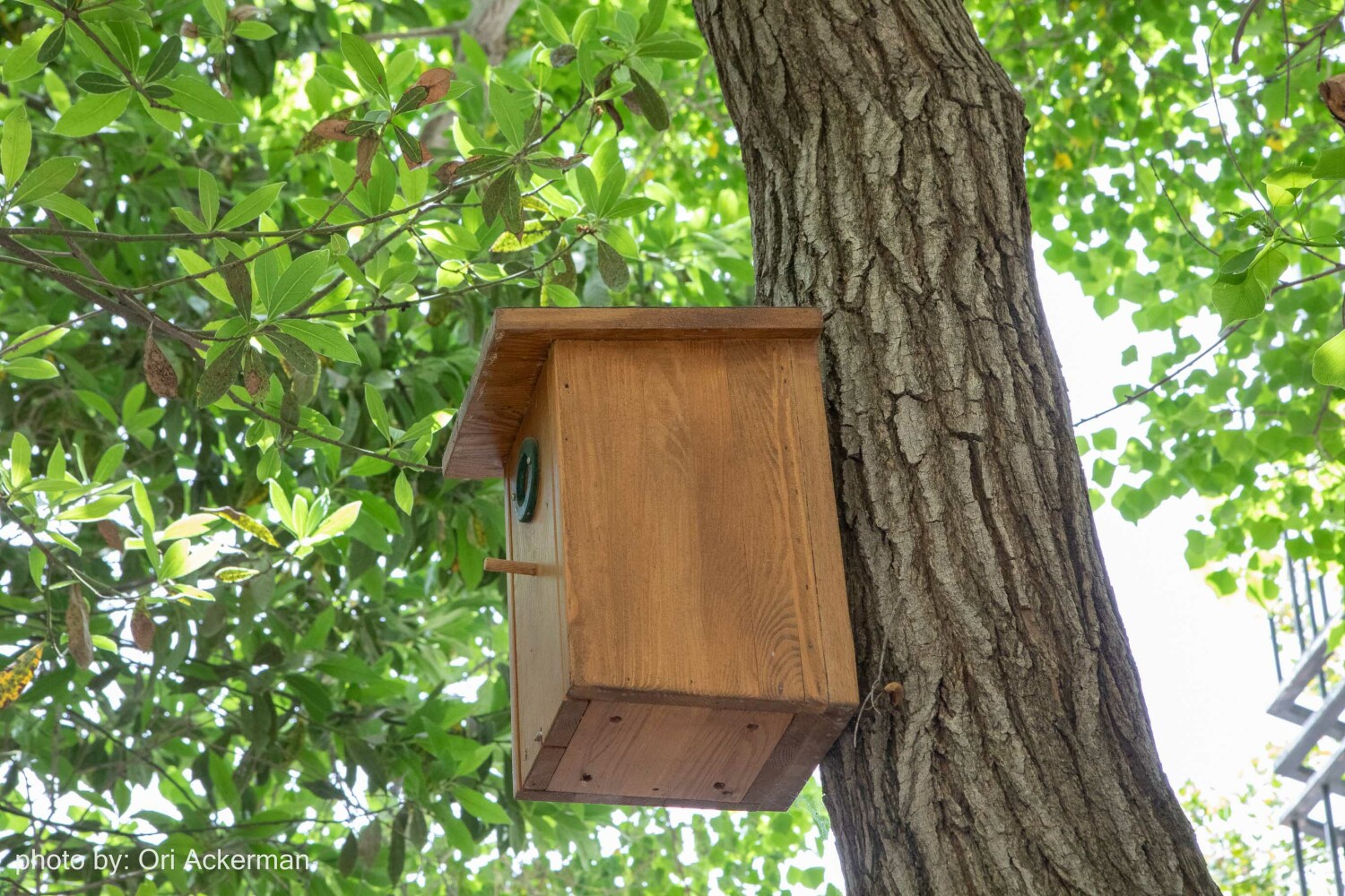 27--photo by Ori Ackerman ©.JPG