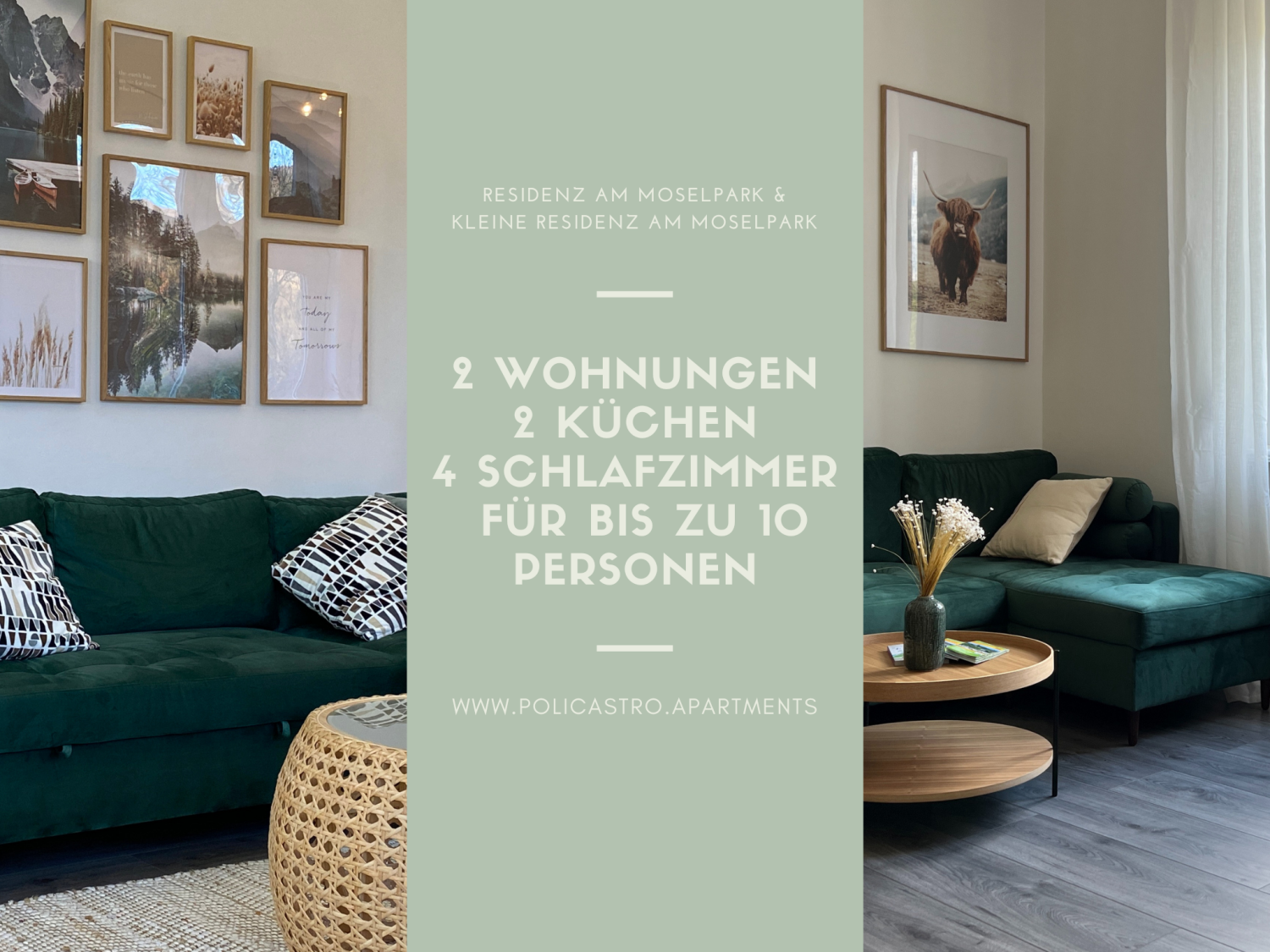 Schneider & Partner.png