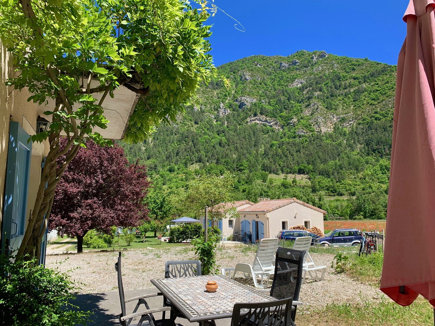 2019-06-08 12.47.14.jpeg