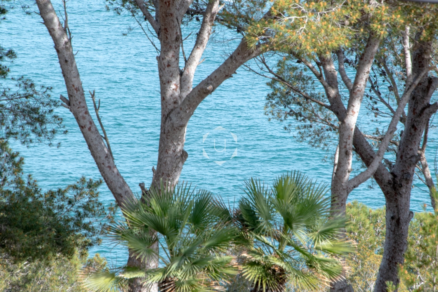 seafront apartment, Illa Blanca, Tamariu, unique costa brava0053.jpg