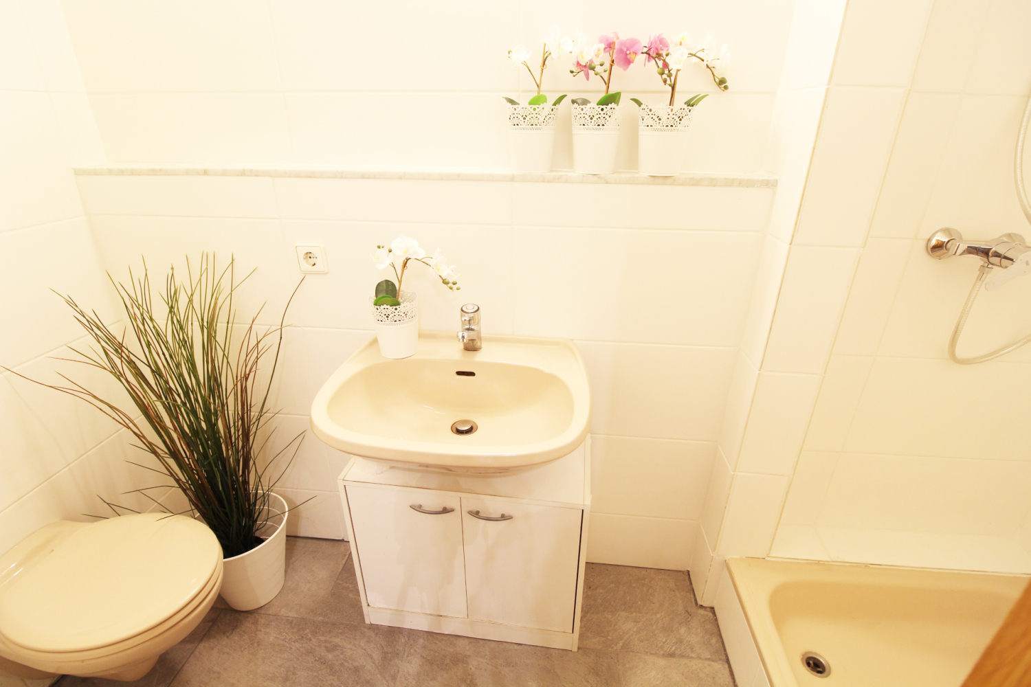 2020-11-01 - 105-bad-b_b.jpg