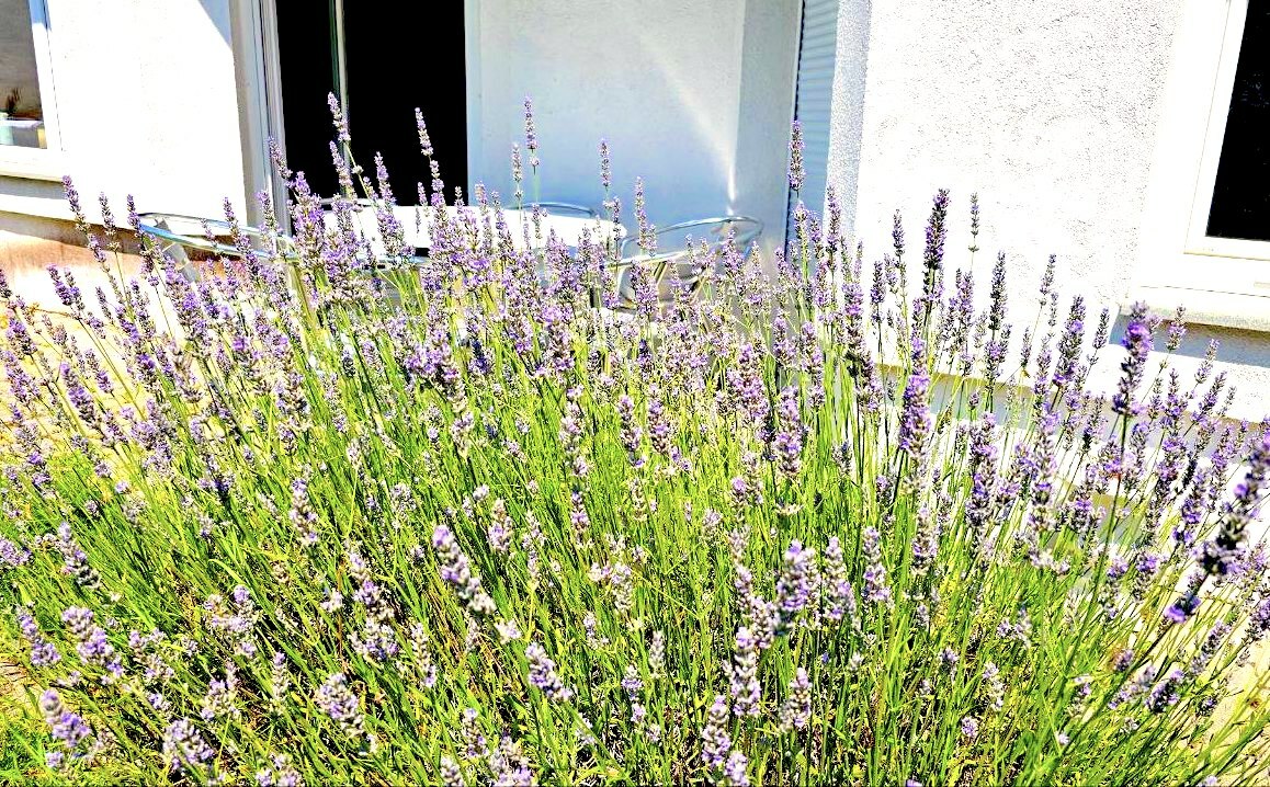 Sitzgelegenheit Terrasse03.jpeg