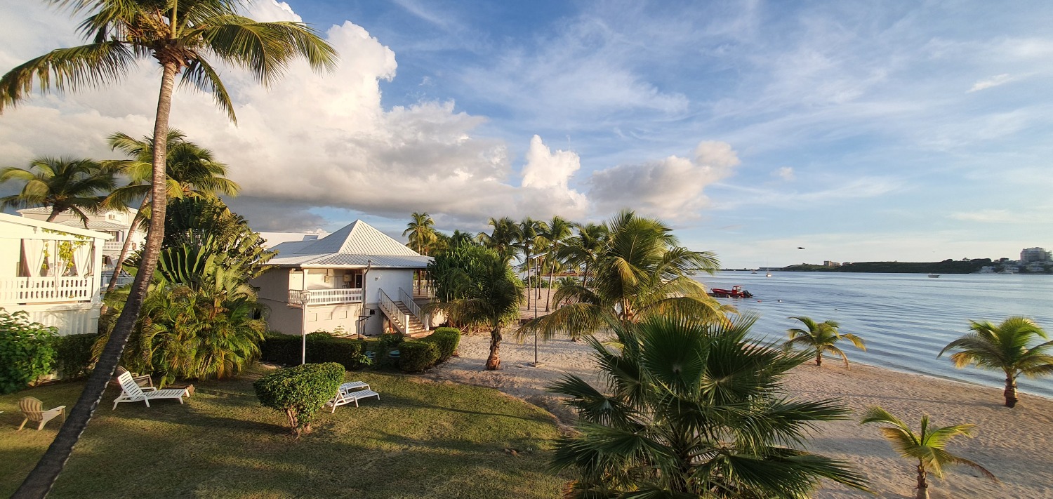 2021-11-24 17.00.21.jpg