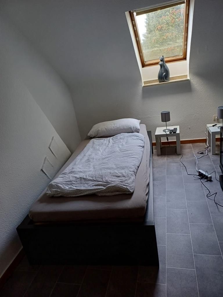 Poll DG Bilder (5).jpeg