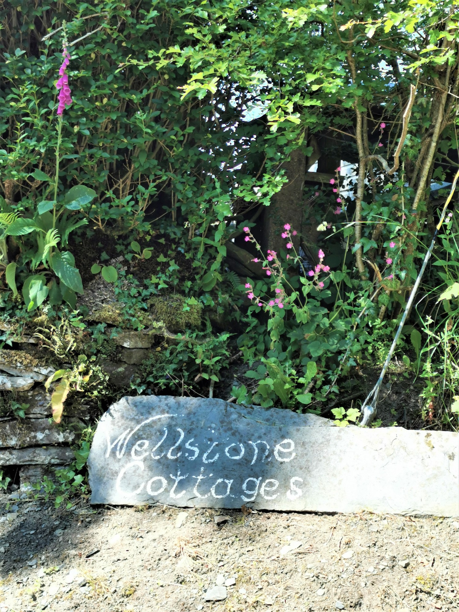 IMG_20210622_153959 (2).jpg