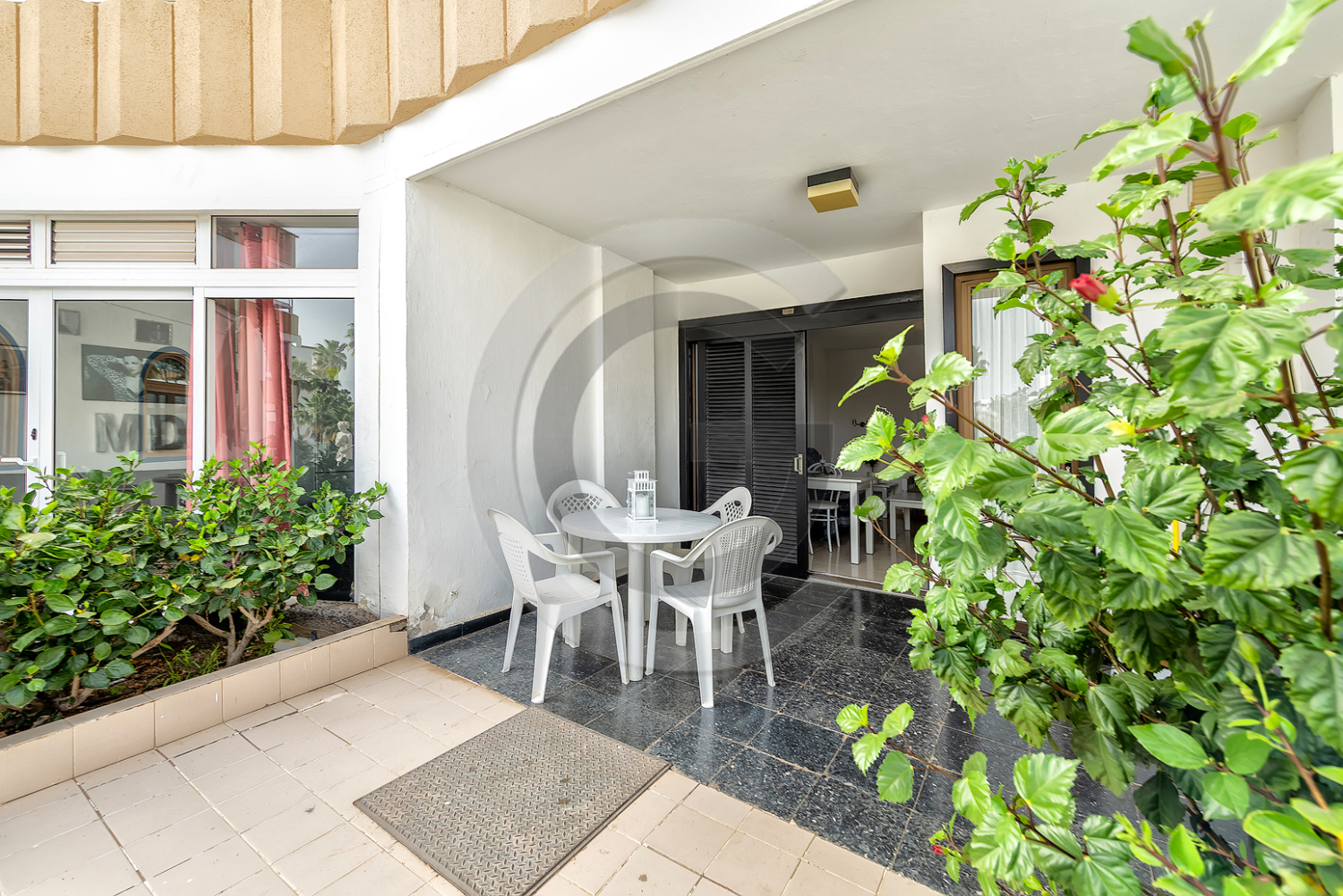 Aptos Koka (25) copia.jpg