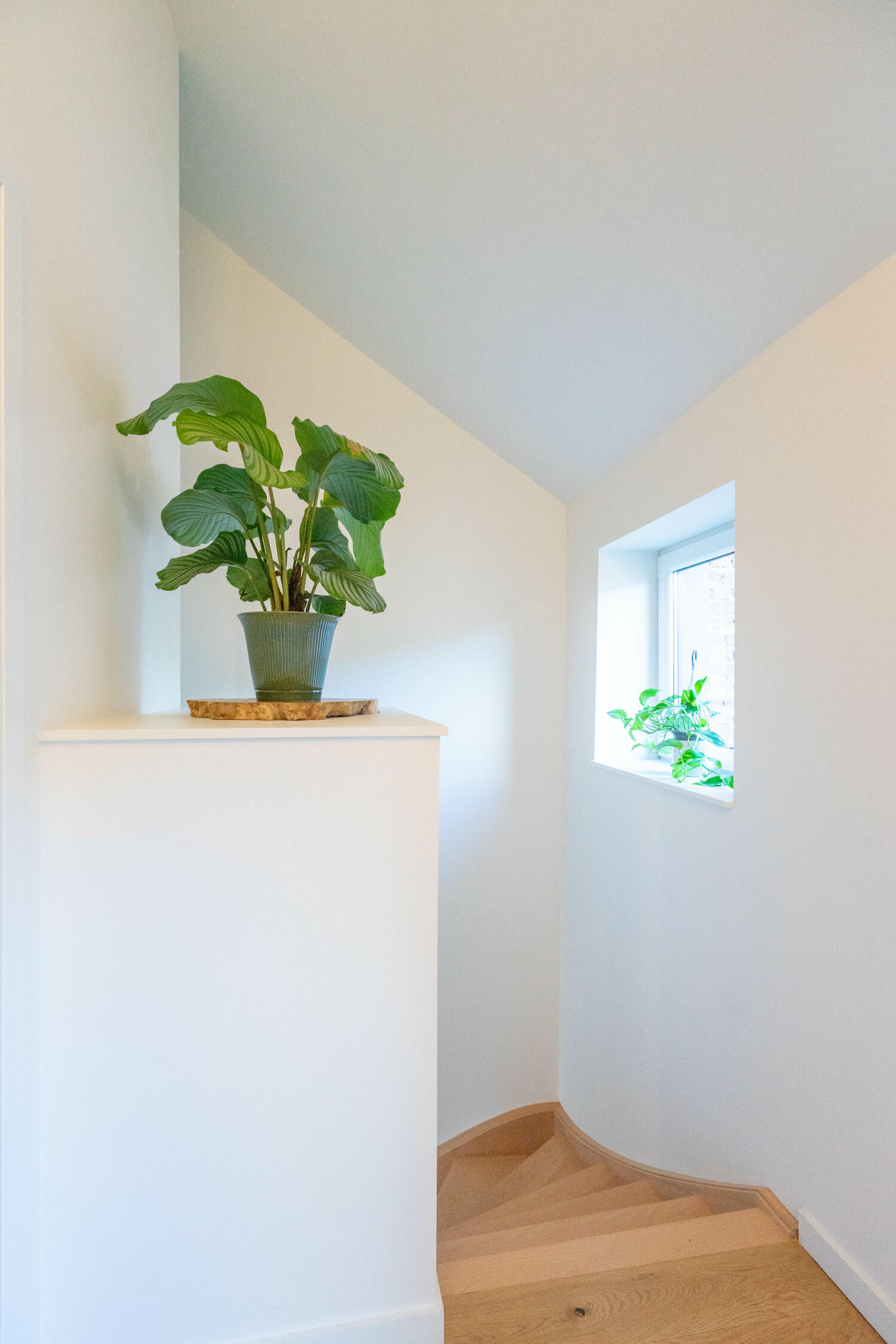 Bed n Bike 3 Web-00510.jpg