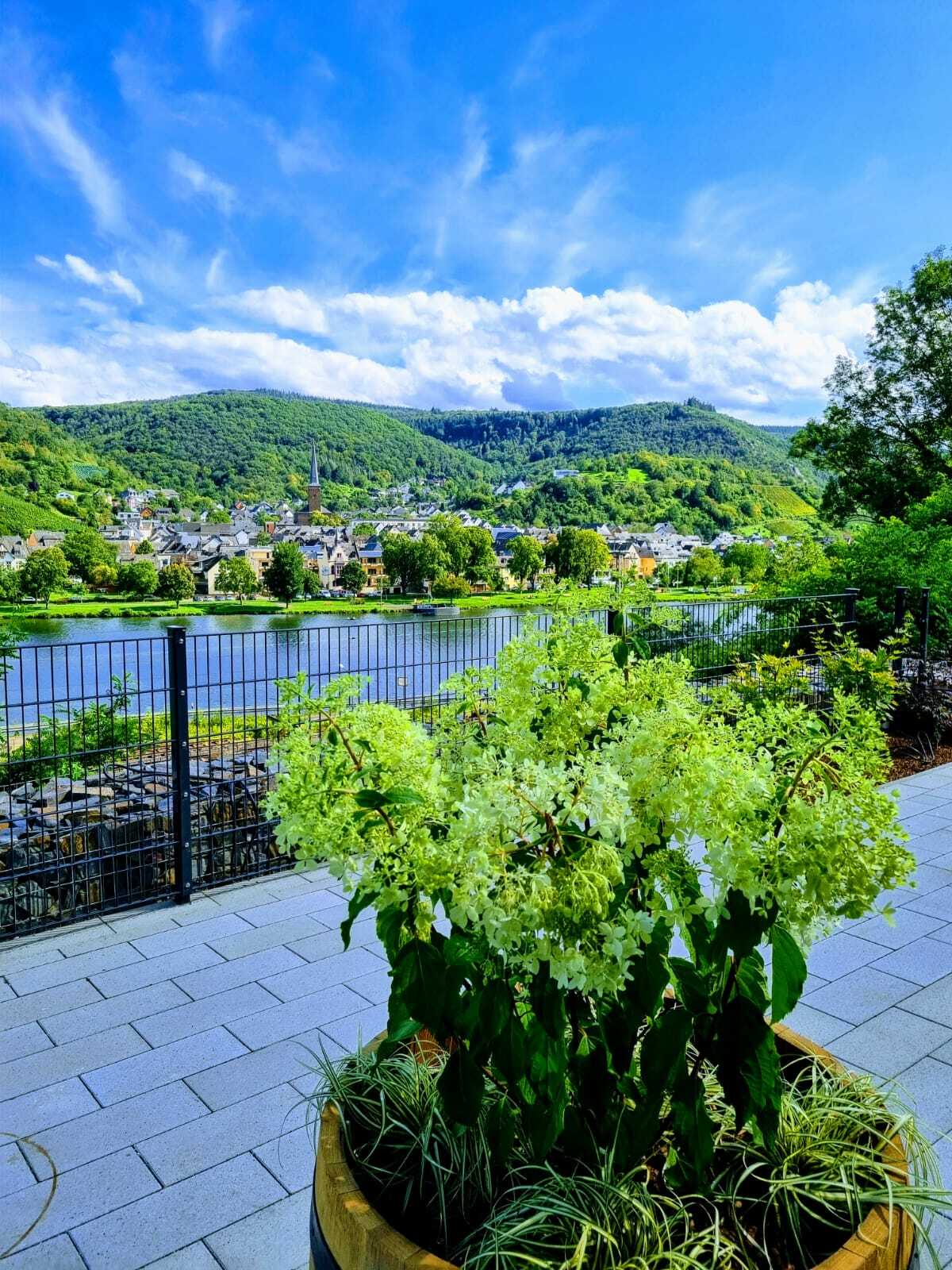 WhatsApp Image 2024-01-01 at 16.20.25.jpeg