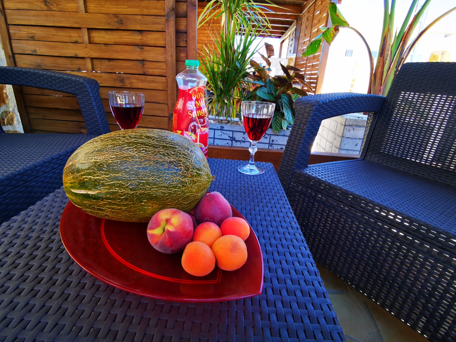 Apartment Isabellle-Terrasse-9.jpg