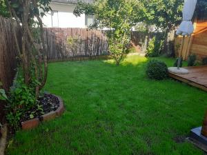 20200624_074710 (1).jpg