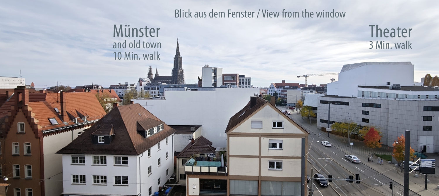 Münsterblick copy.jpg