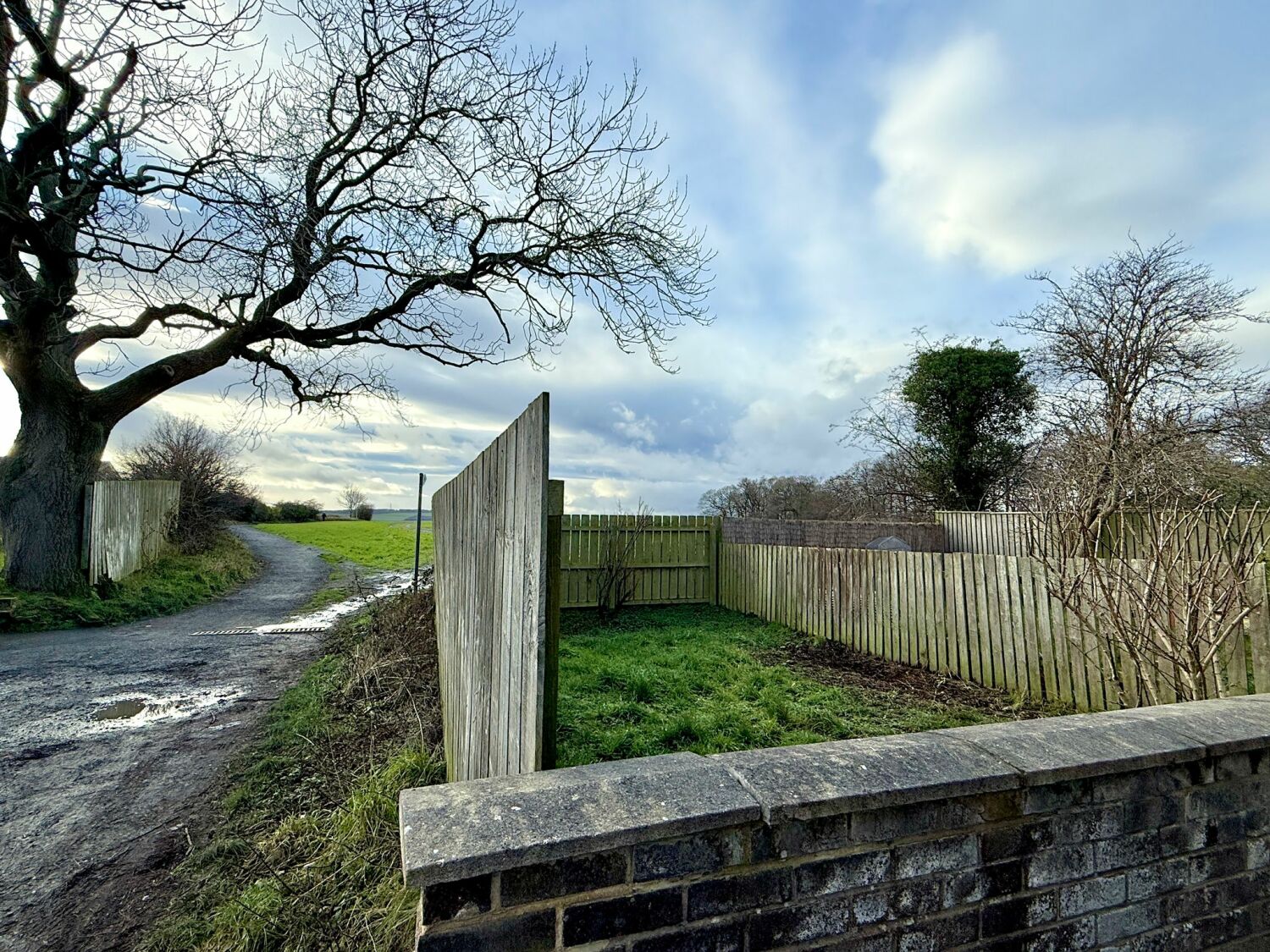 PHOTO-2026-01-22-19-20-15 3.jpg