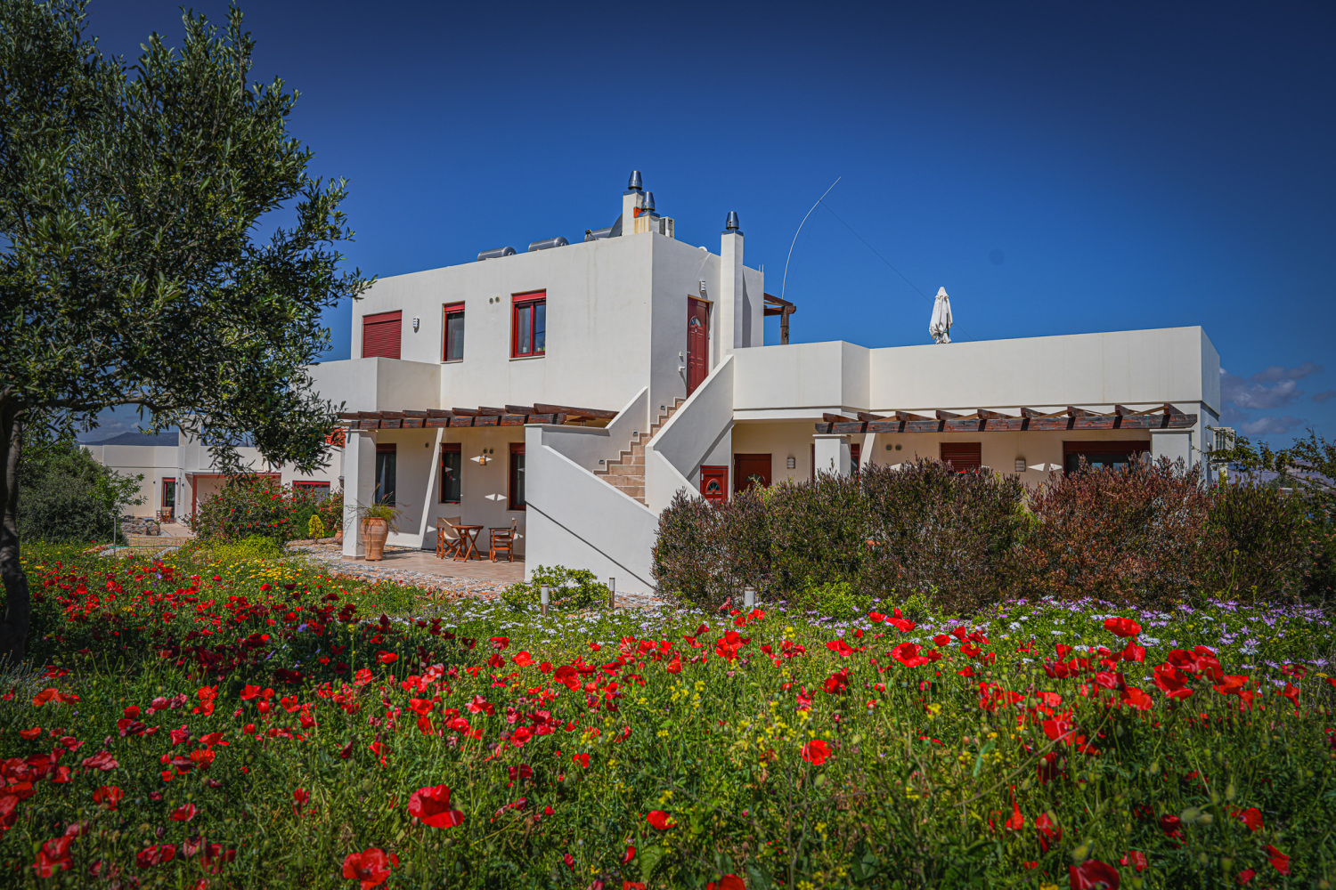 PhenOmena front 4.jpg