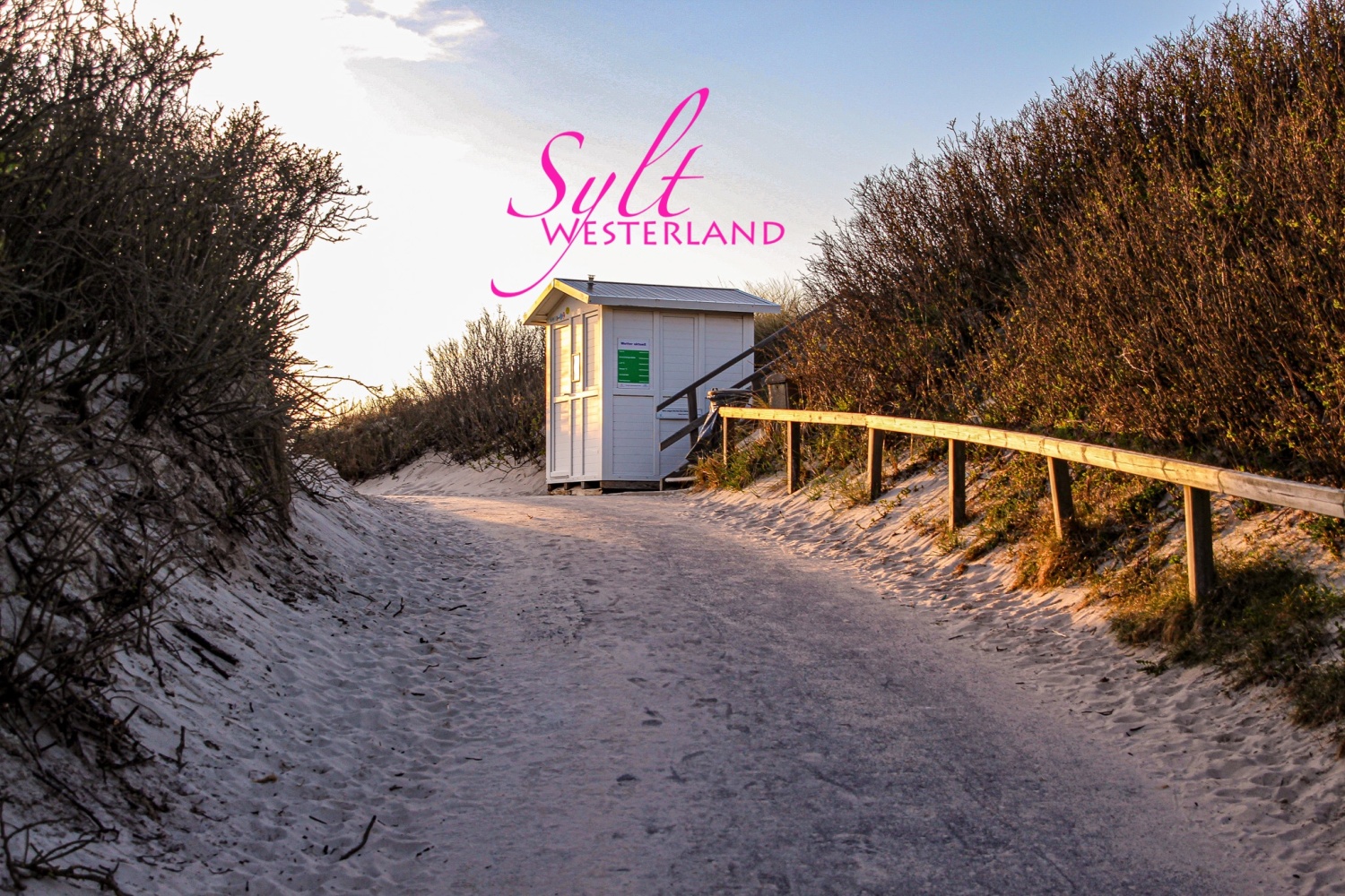 188 - IMG_8841 Kopie.jpg