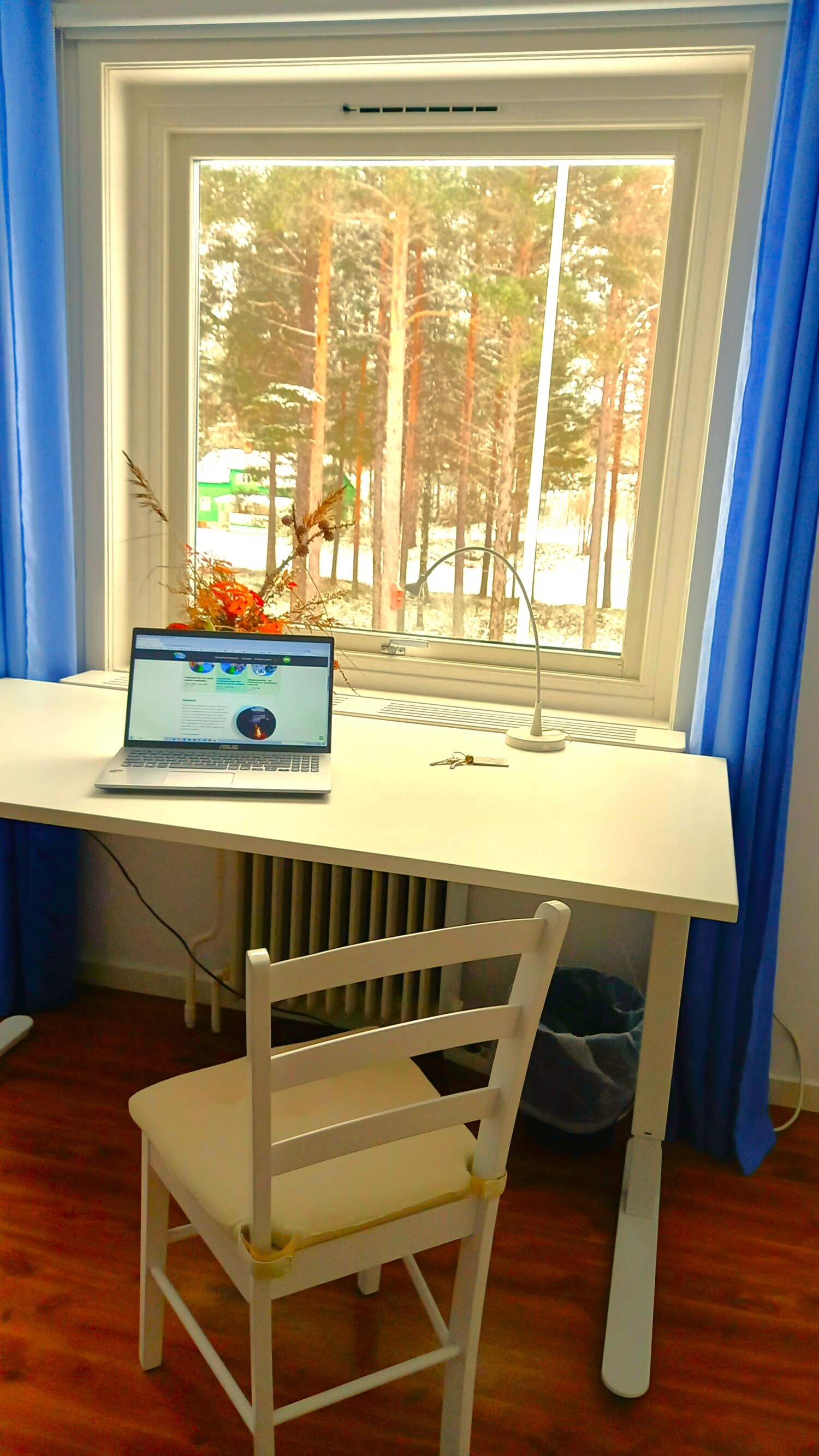 20231029_125849 II.jpg