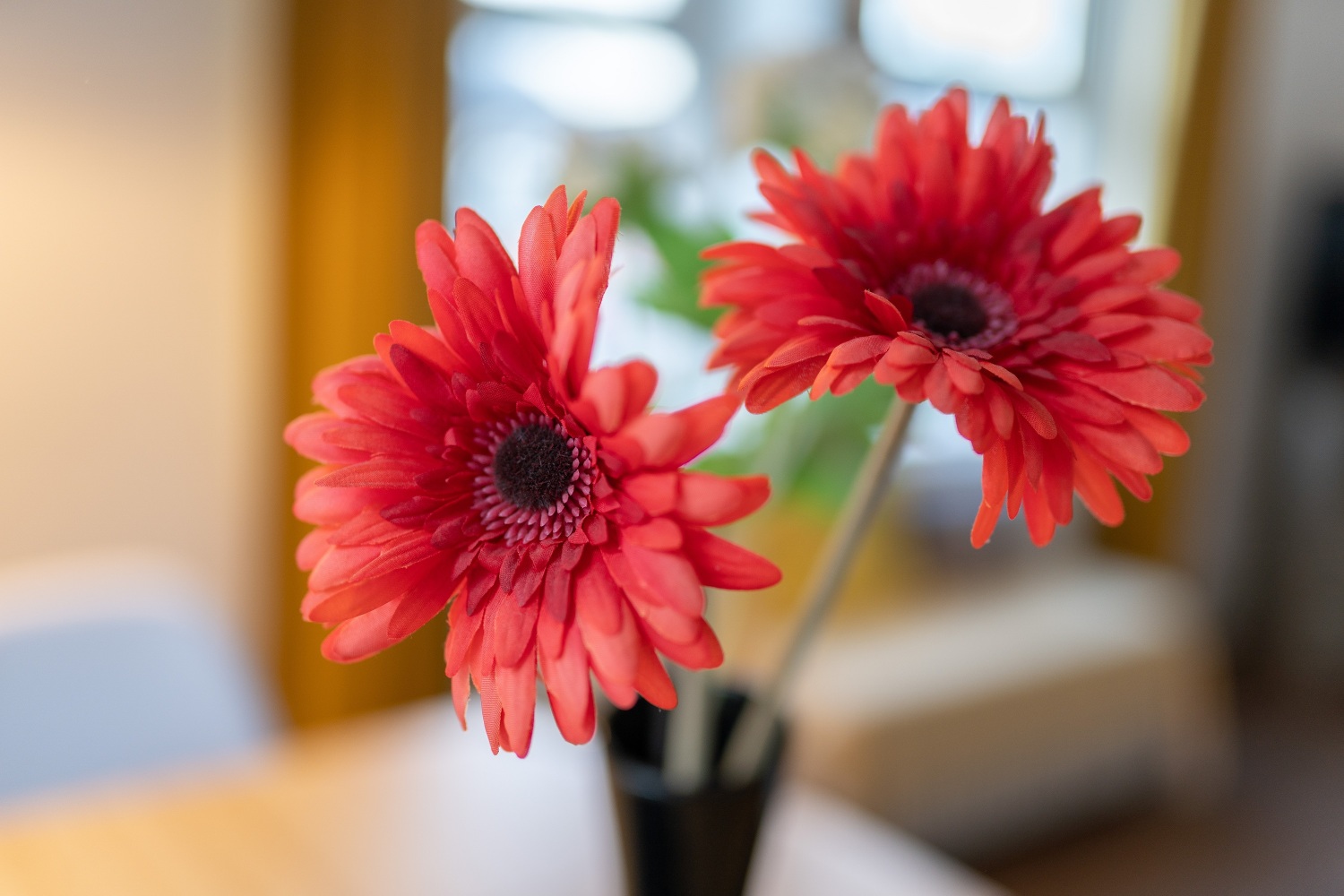 134 Clare Rd Cardiff CF11 6RW 068.jpg