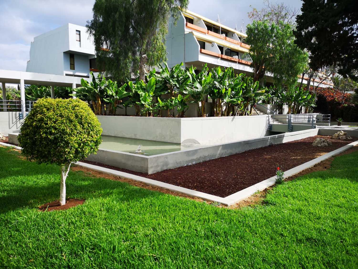 WhatsApp Image 2019-05-17 at 17.05.27.jpeg