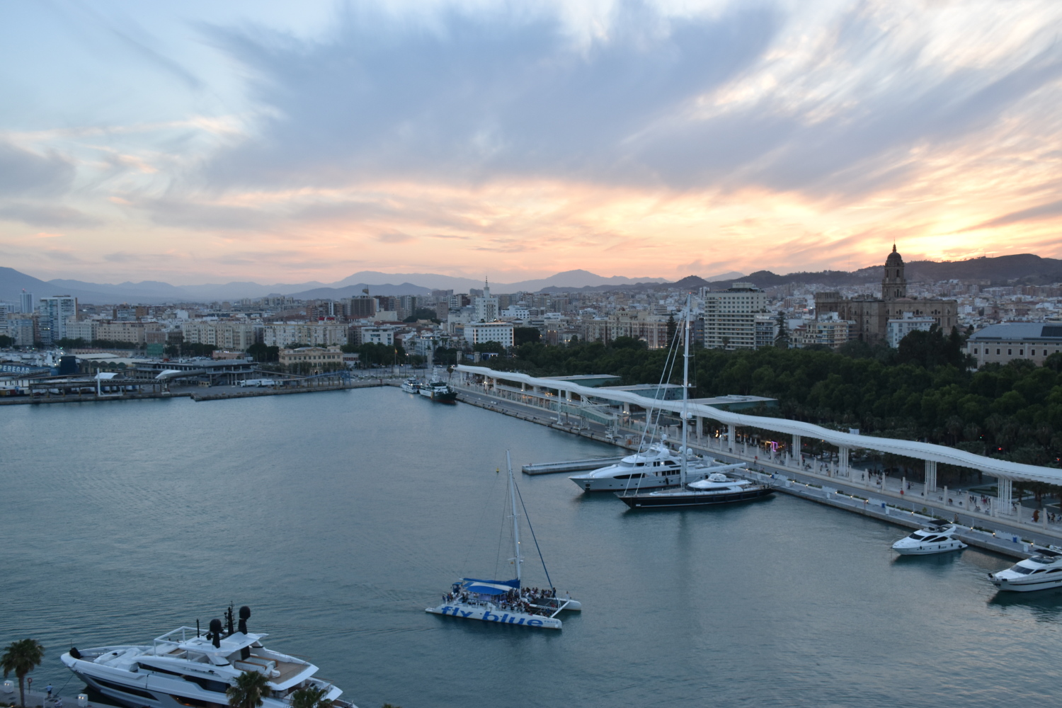 2023-06-11 20.30.49.jpg