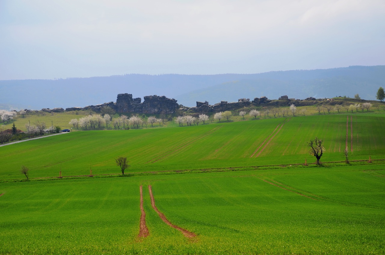 Teufelsmauer Weddersleben.jpg
