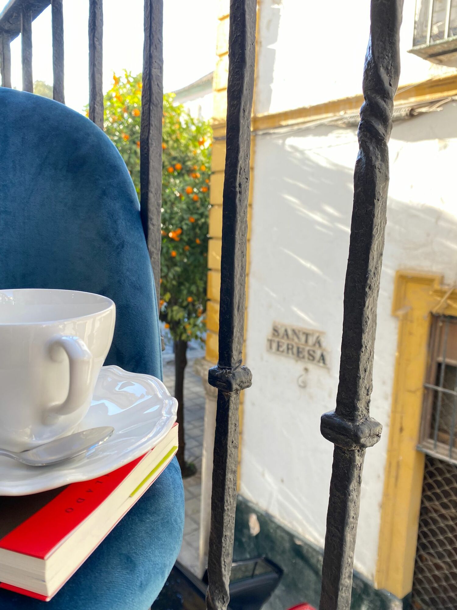 WhatsApp Image 2021-12-15 at 17.33.16 (1).jpeg