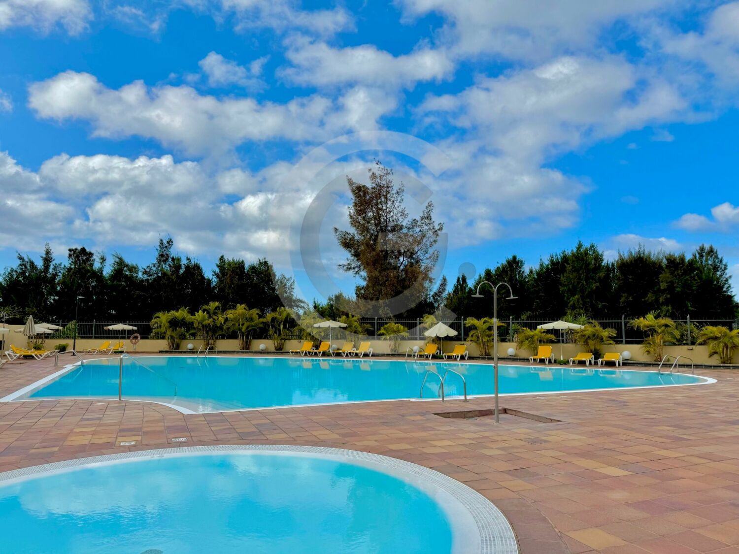 WhatsApp Image 2025-07-28 at 19.26.59 (4).jpeg