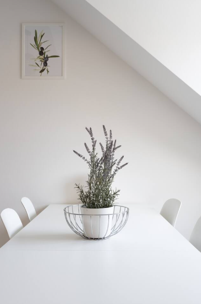 Screenshot 2026-01-30 141353.png